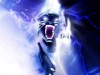 PanTheR