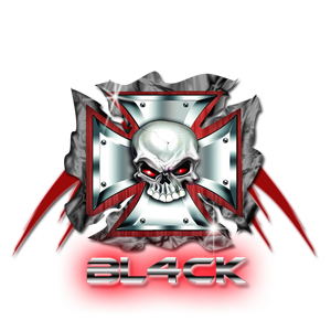 Teamlogo von BL4CK Multigaming