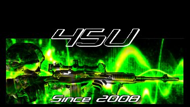 Teamlogo von 45U-Clan