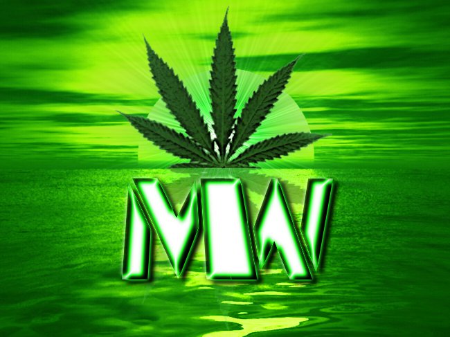 xX MoDeRn WeeD Gaming Xx
