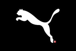 Teamlogo von PumA Gaming inaktiv 