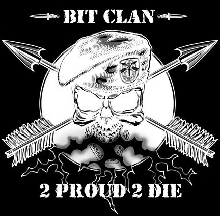 Teamlogo von BIT-Clan