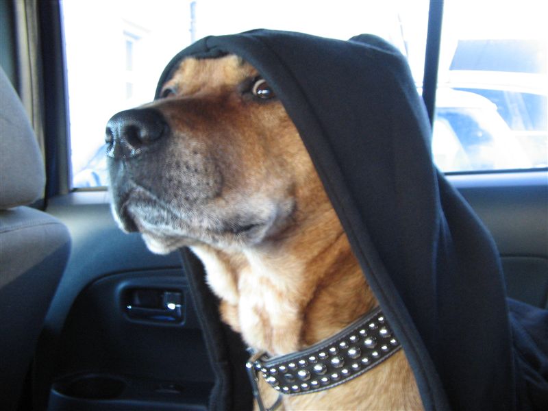 Teamlogo von xTM x K A O Z x