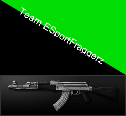 Teamlogo von Team ESportFraggerz